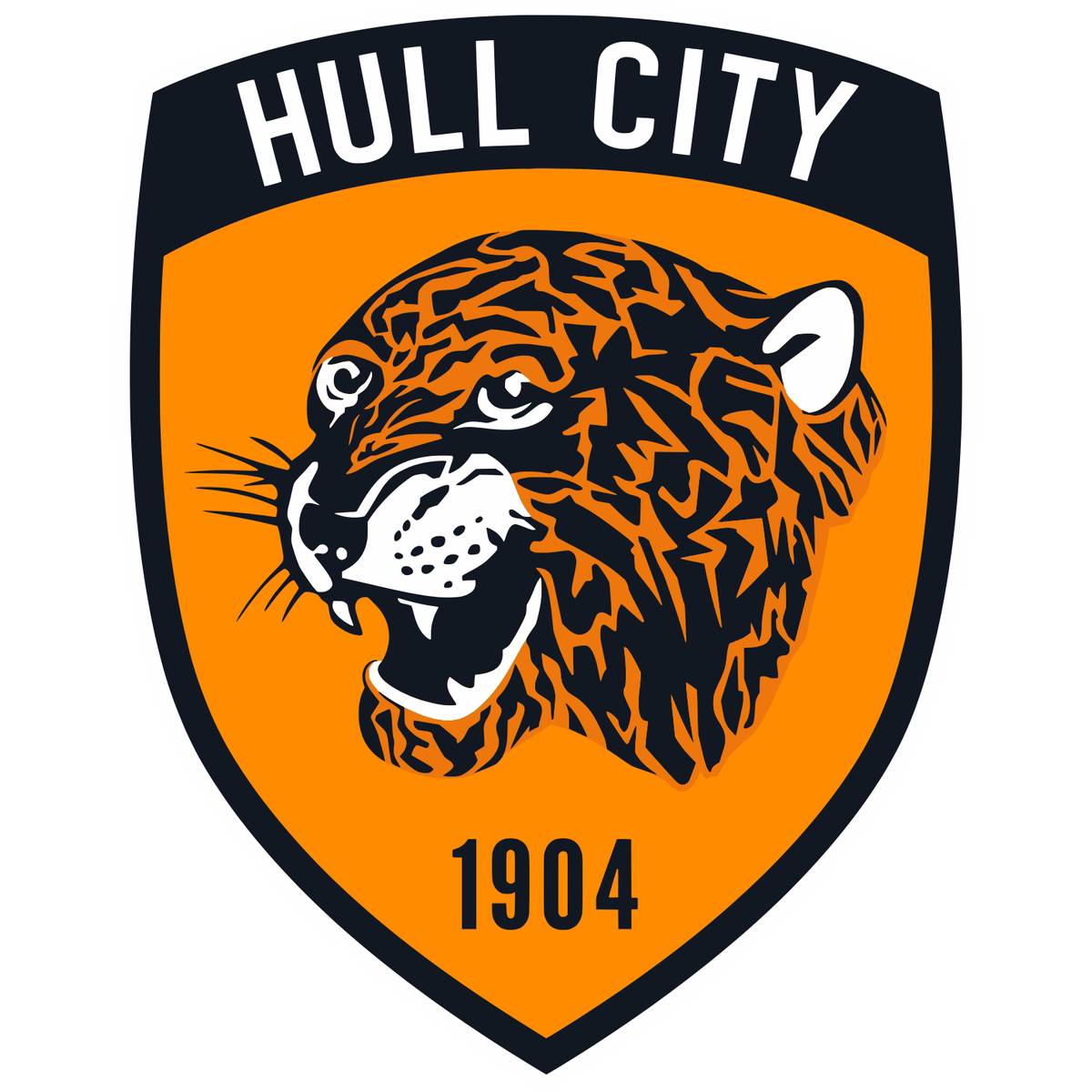 Hull City